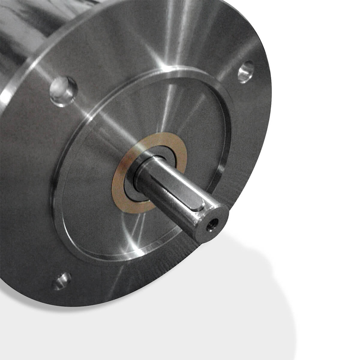 motore elettrico acciaio inox con speciale tenuta