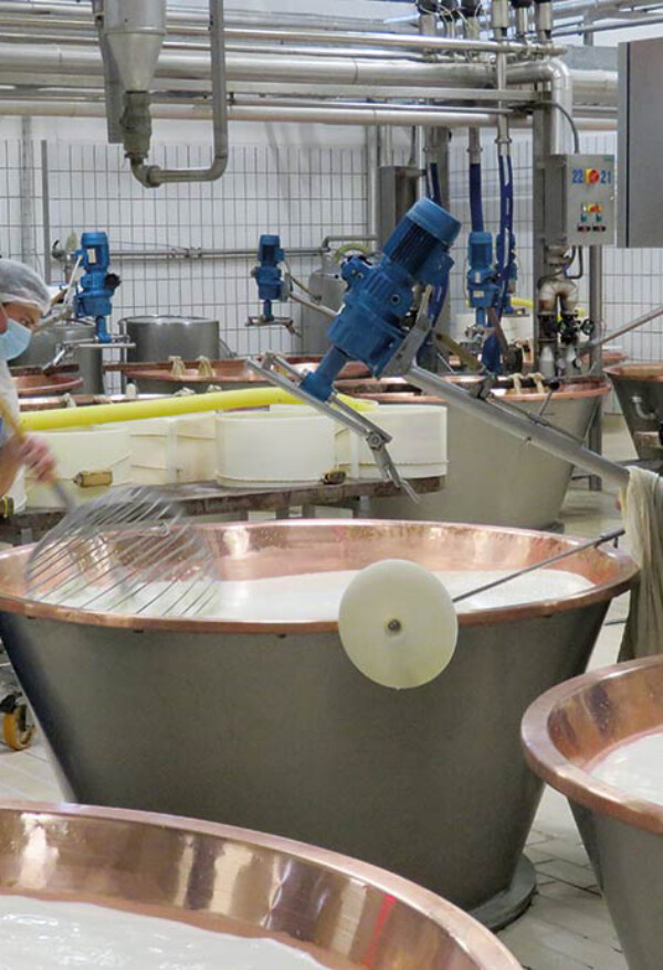 caseificio impianto e produzione