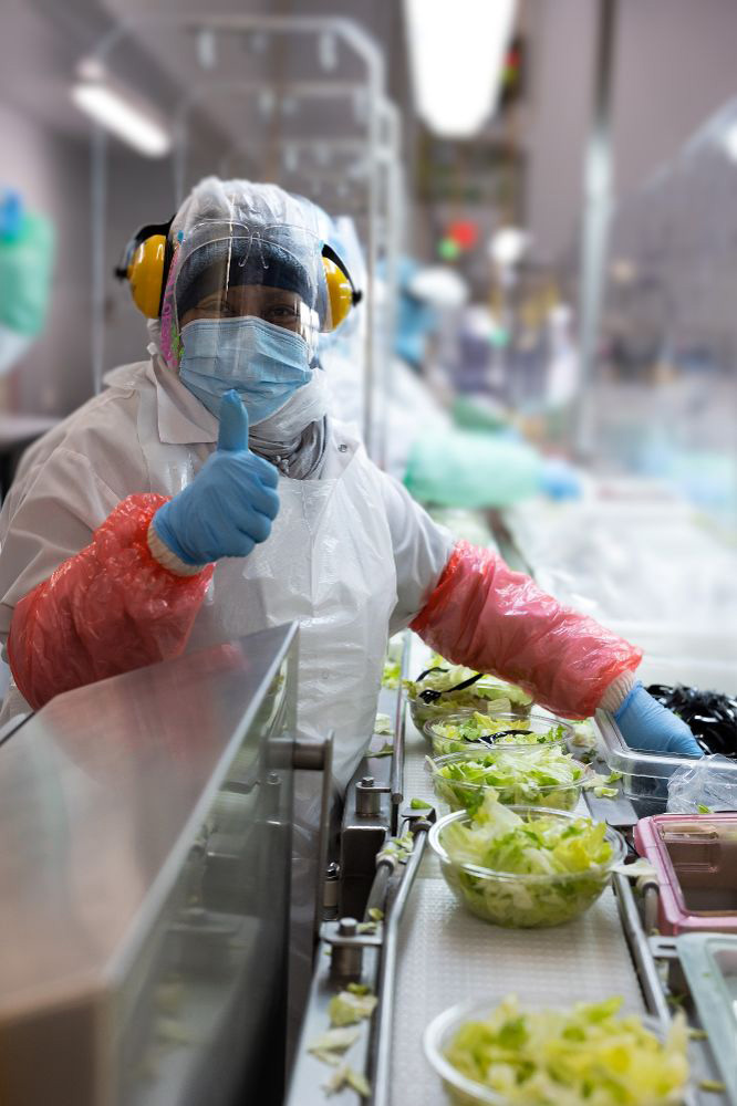 nastro trasportatore igienico e riempimento verdura fresca in confezione