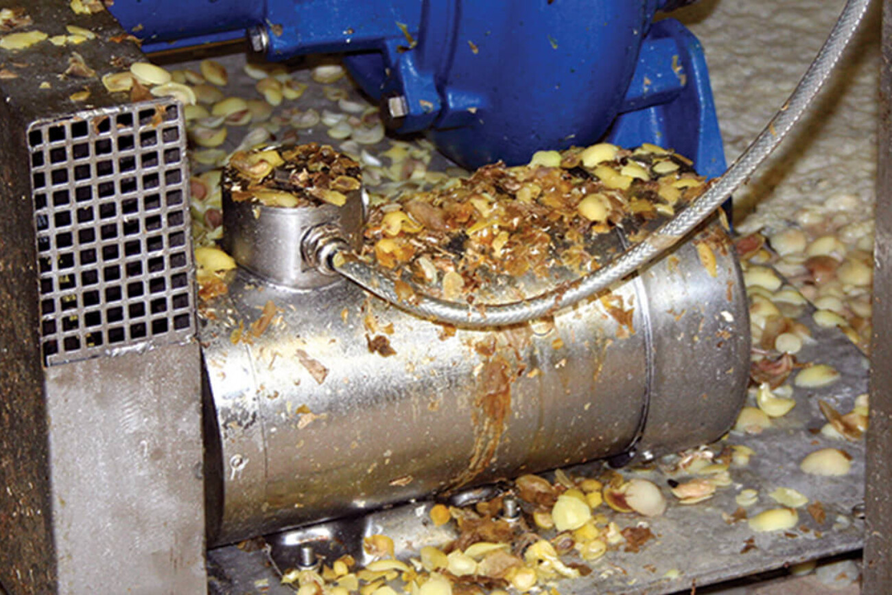 motore elettrico acciaio inox, B3, TEFC, in applicazione taglio pelatura patate