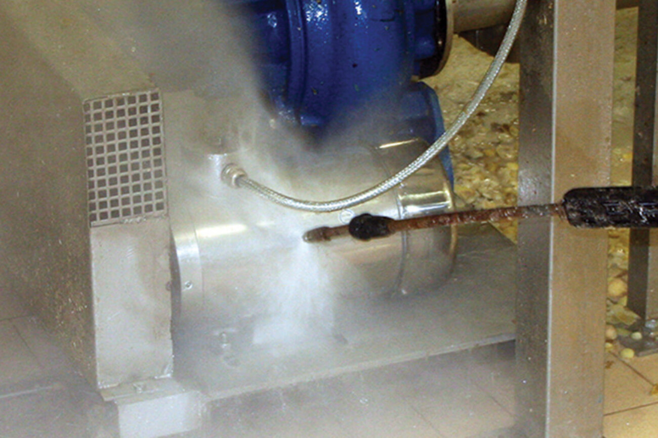 motore elettrico acciaio inox, B3, TEFC, in lavaggio ad alta pressione