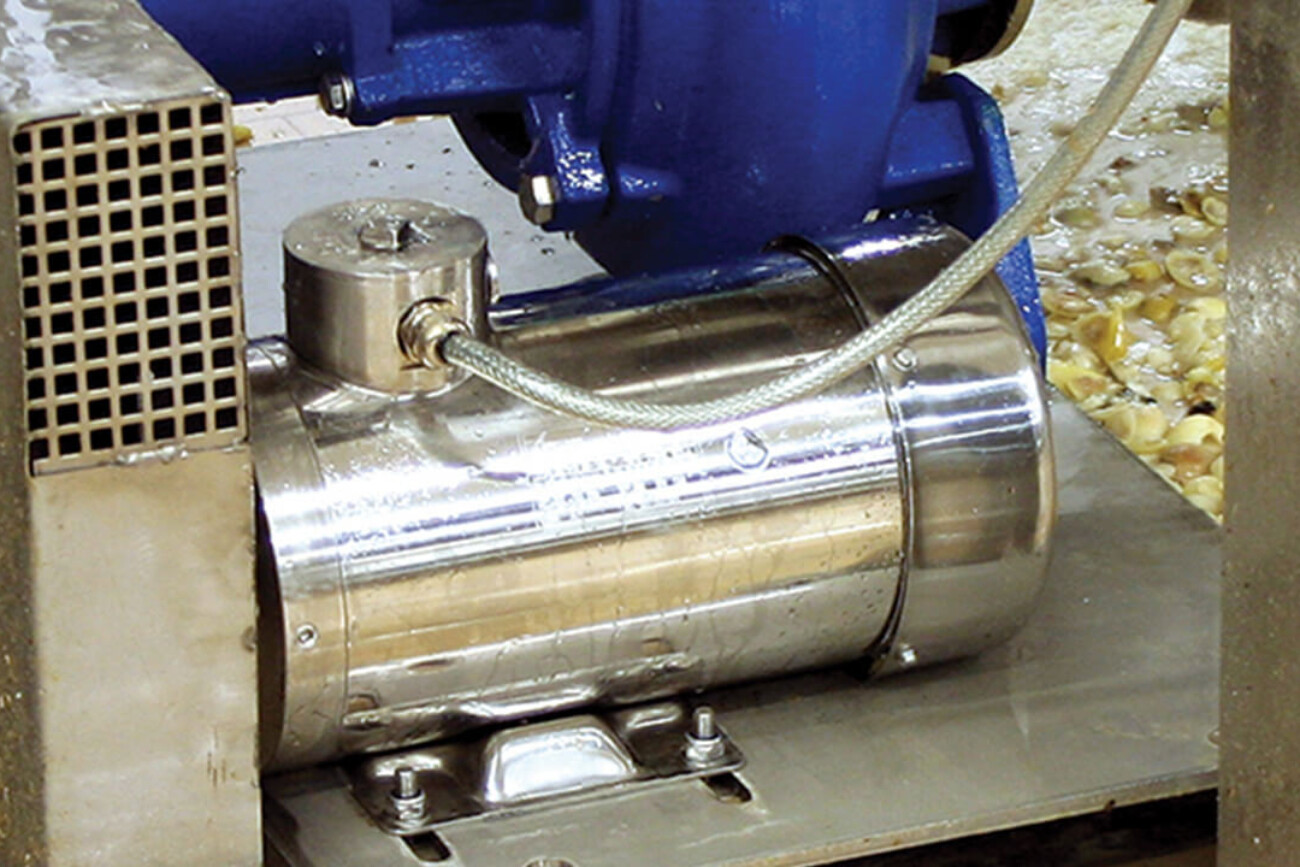 motore elettrico acciaio inox, B3, TEFC, dopo un lavaggio ad alta pressione